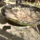 Cement planter
