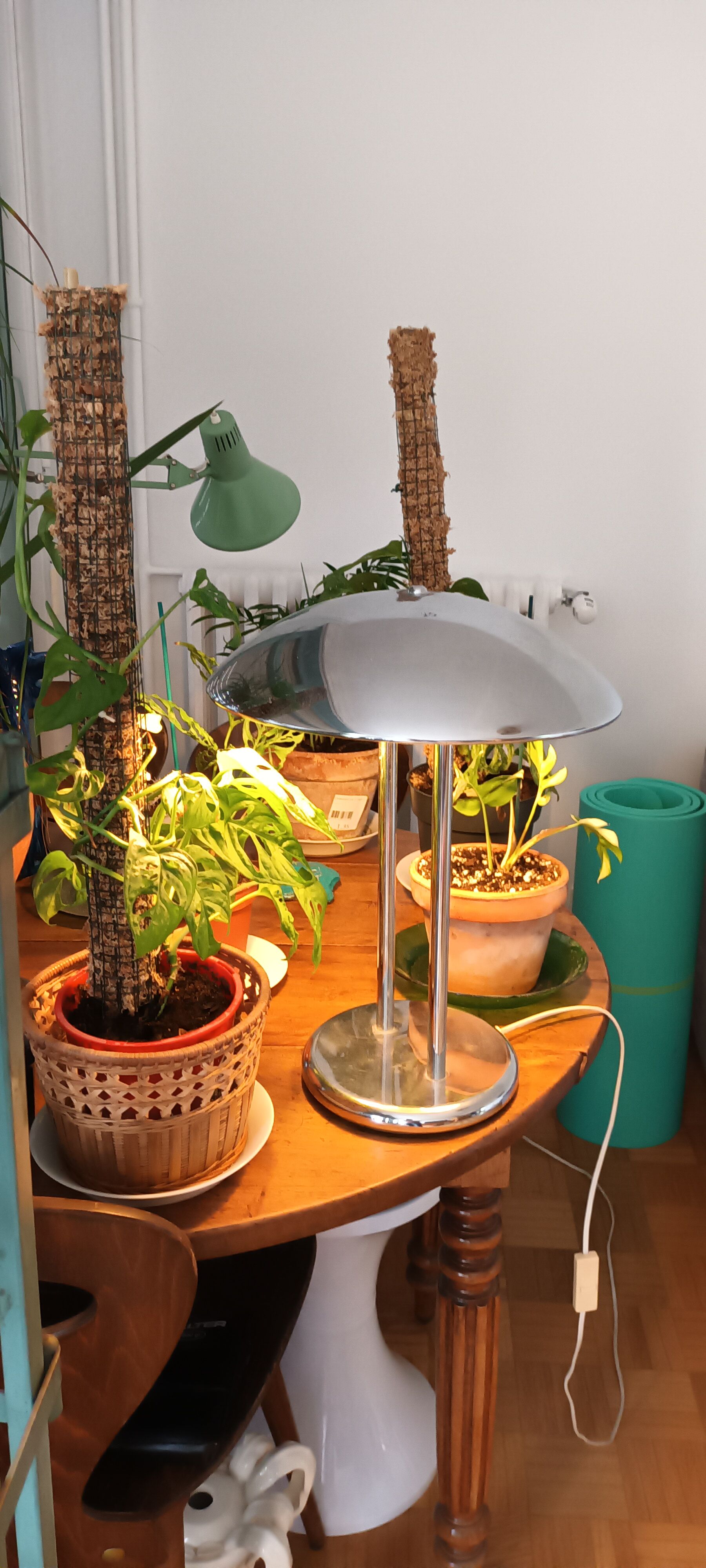 Vintage liner mushroom lamp