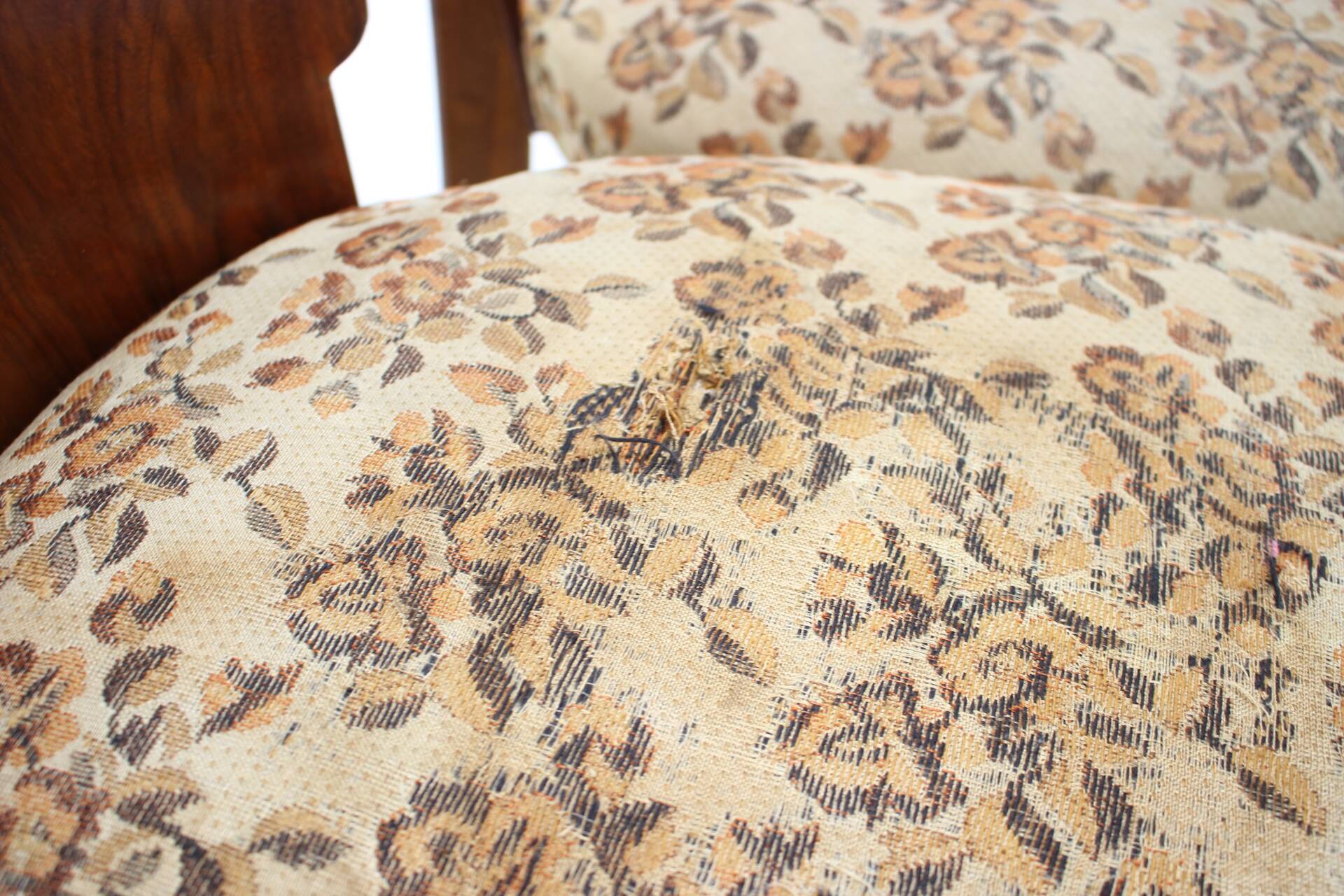 1950s Jindrich Halabala Dining Chairs H-214 for UP Závody, Set of 4