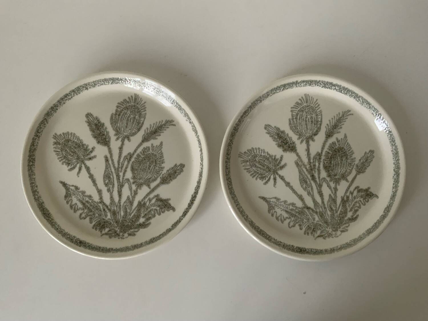 Duo of thistle plates