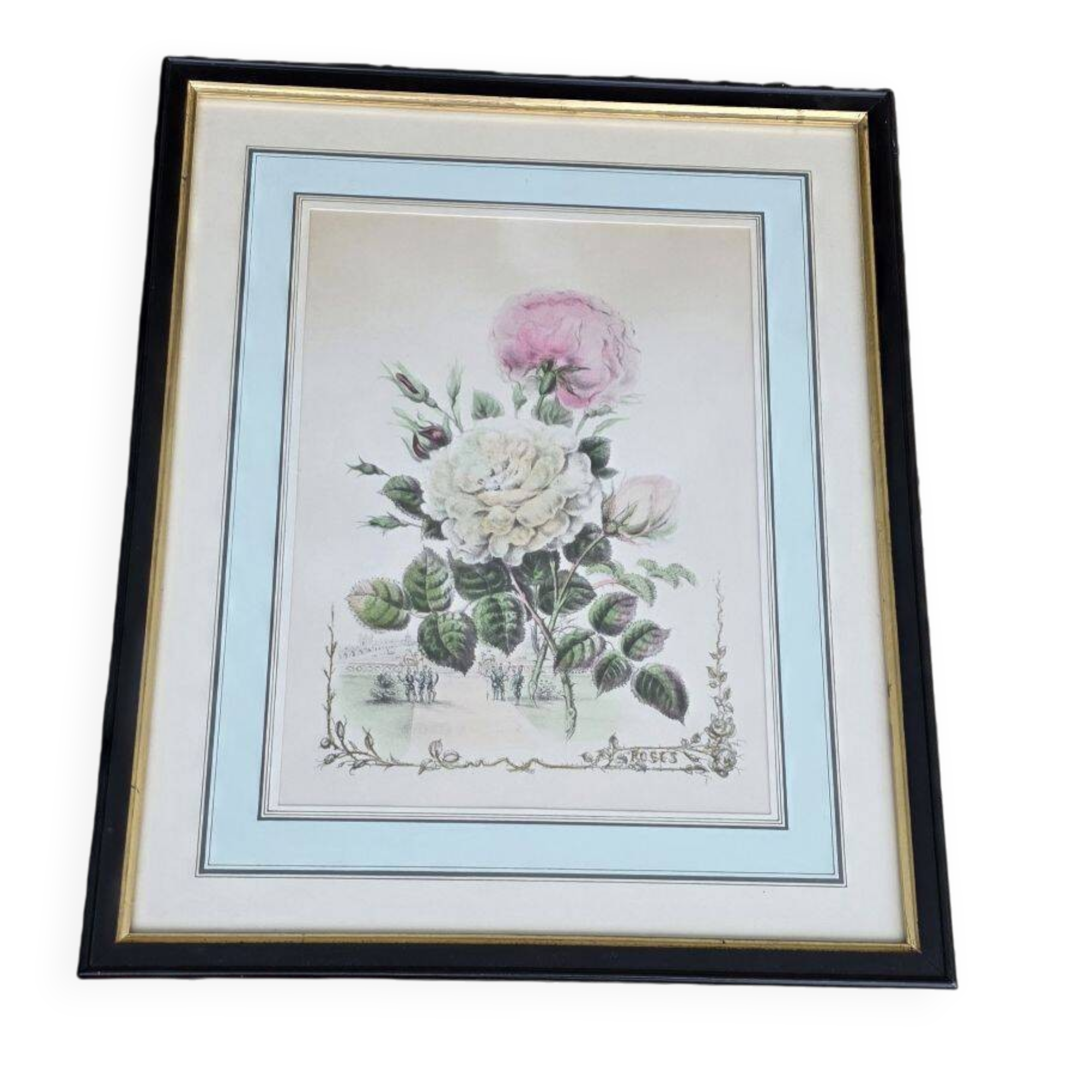 P J Redouté - Bouquet of Roses Redouté