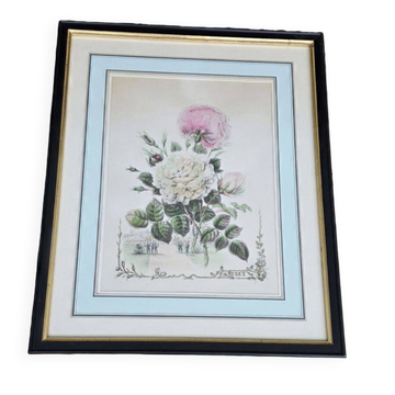 P J Redouté - Bouquet of Roses Redouté