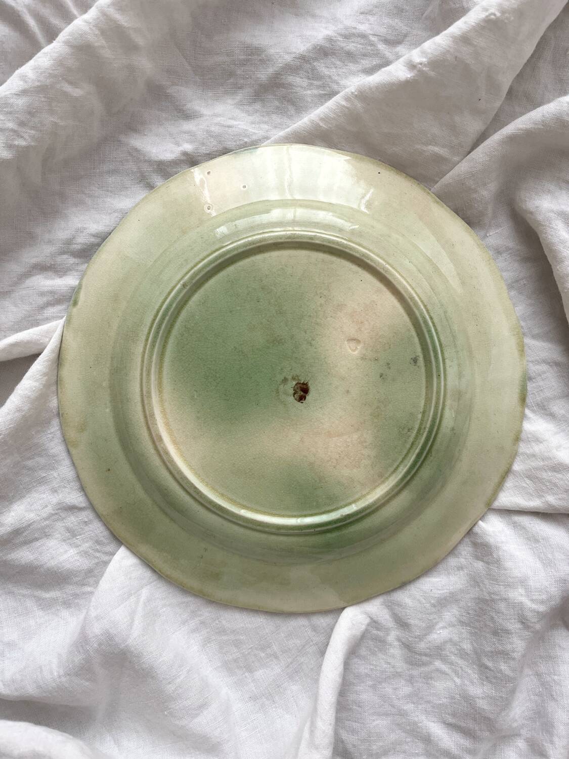 Old slip plate vine leaves grapes Onnaing