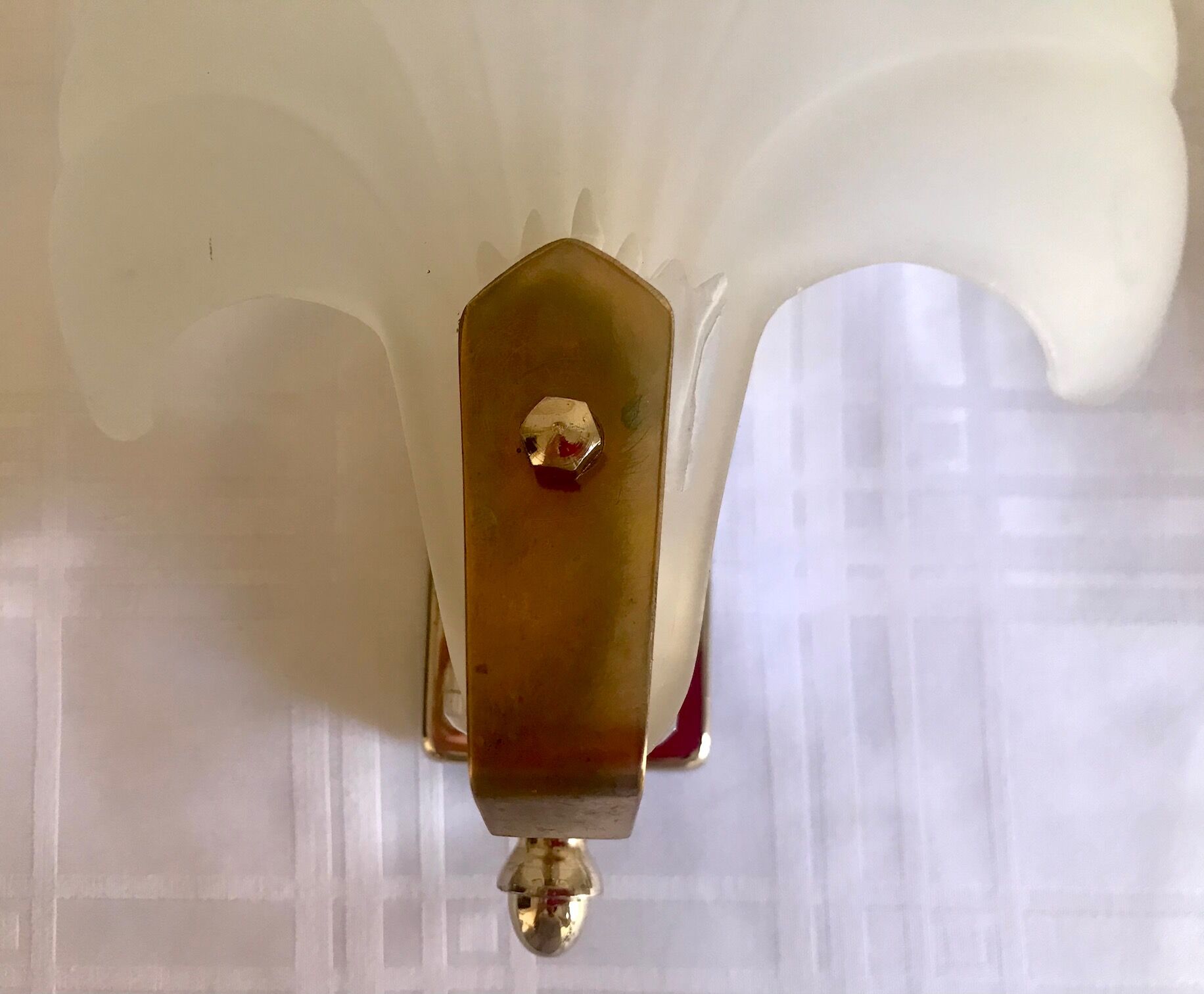 Pair of shell sconces