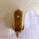 Pair of shell sconces