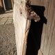 Old door