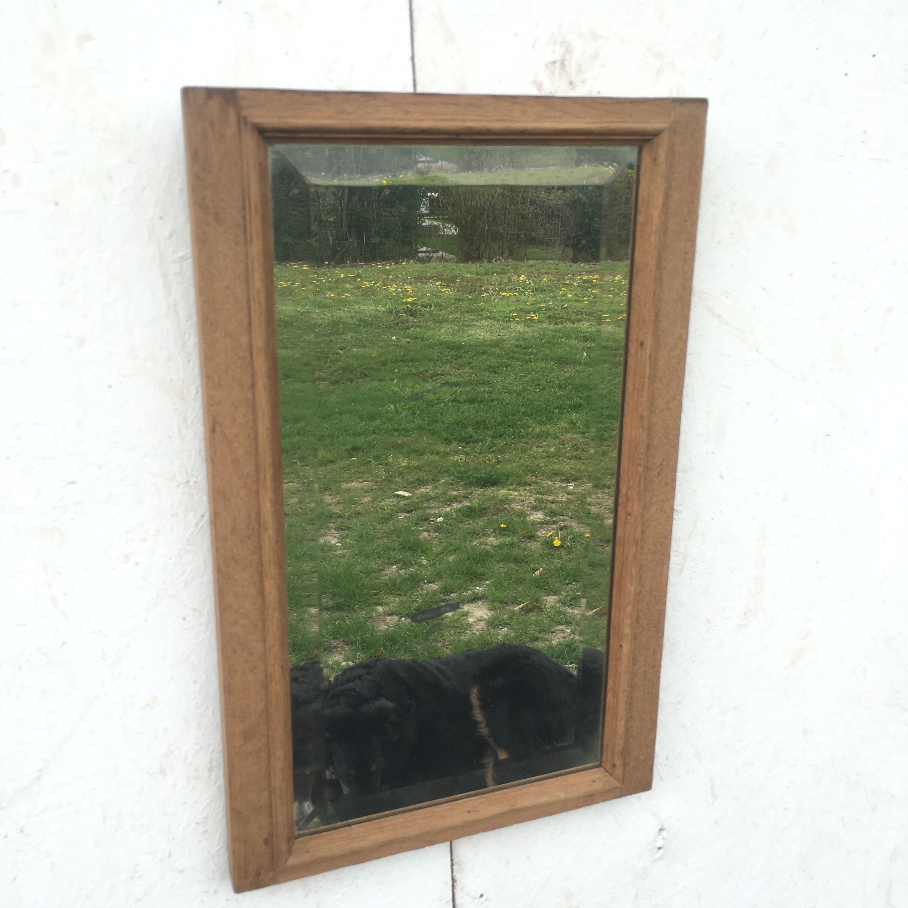 Bevelled mirror oak frame 55x35cm