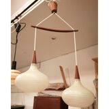Double luminaire