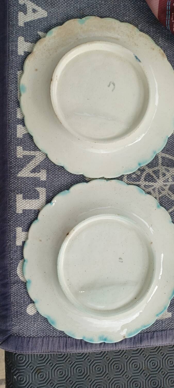 Asparagus earthenware plates