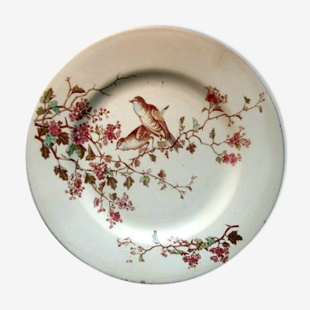 Assiette faïence de lunéville, les fauvettes