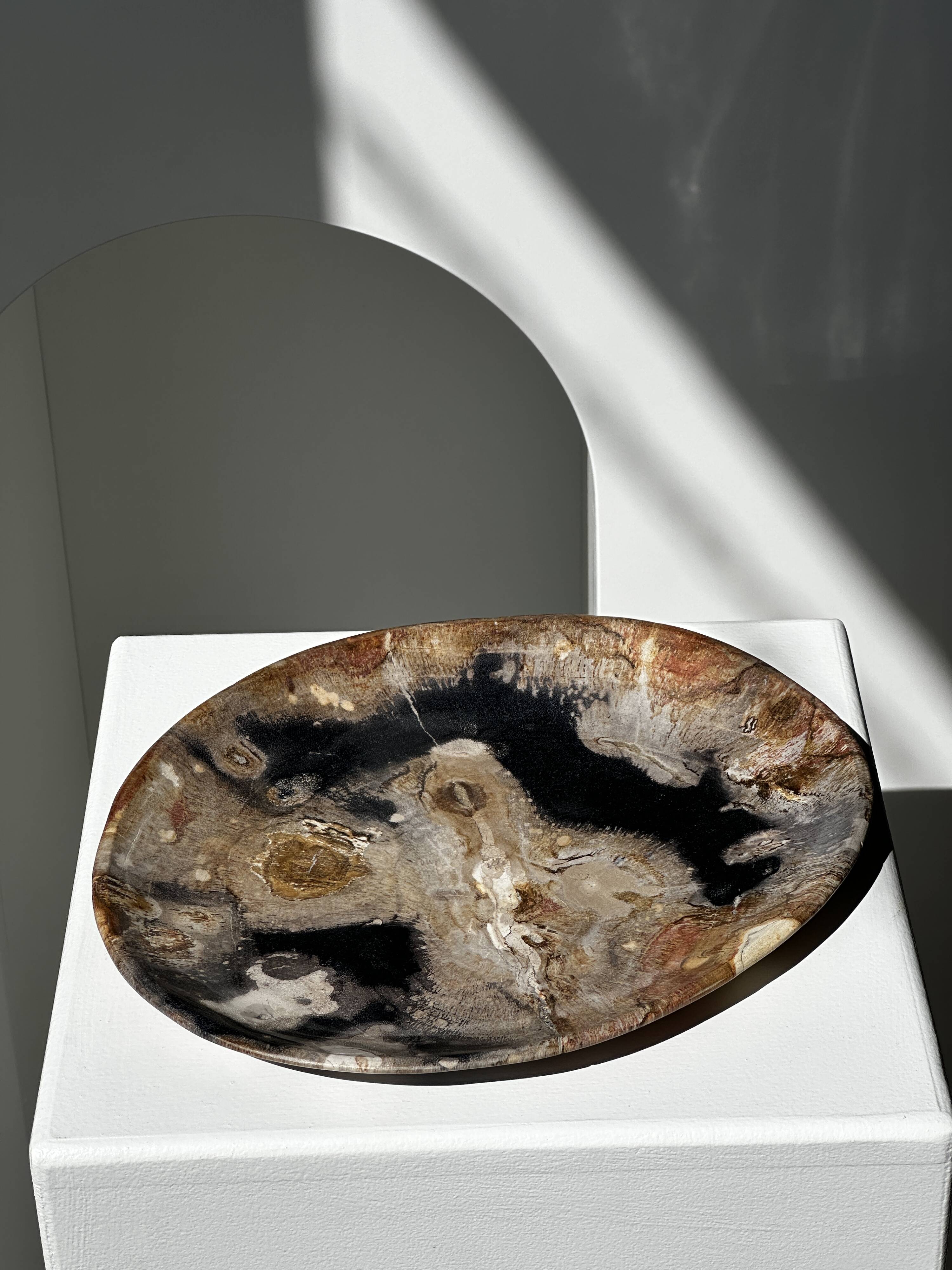 Large empty pocket or dish in petrified wood