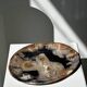 Large empty pocket or dish in petrified wood
