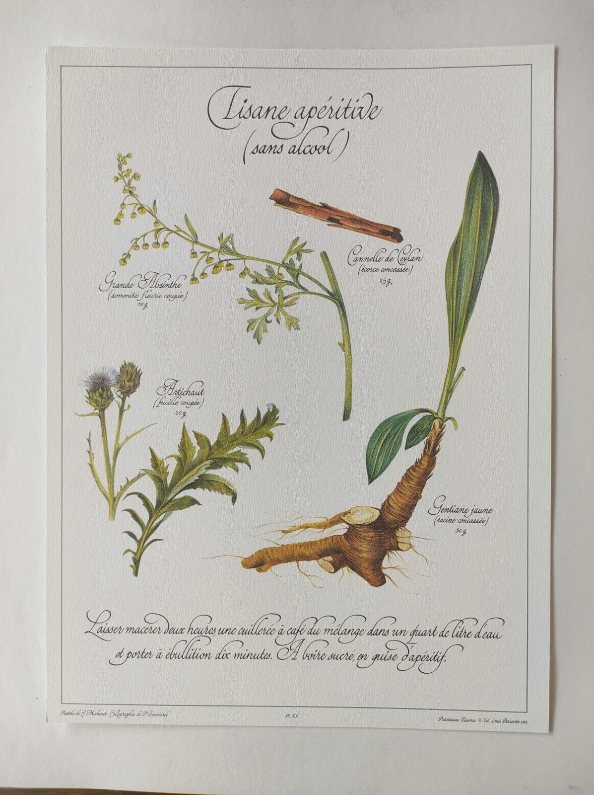 Botanical illustration -Aperitif herbal tea- Engraving of medicinal plants and herbs