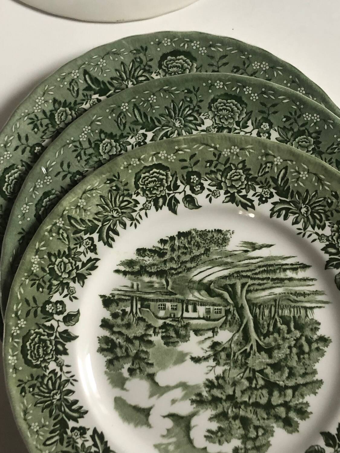 Set of 9 vintage W H Grindley plates – Country Style pattern (green)