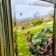 Miroir vert olive ancien