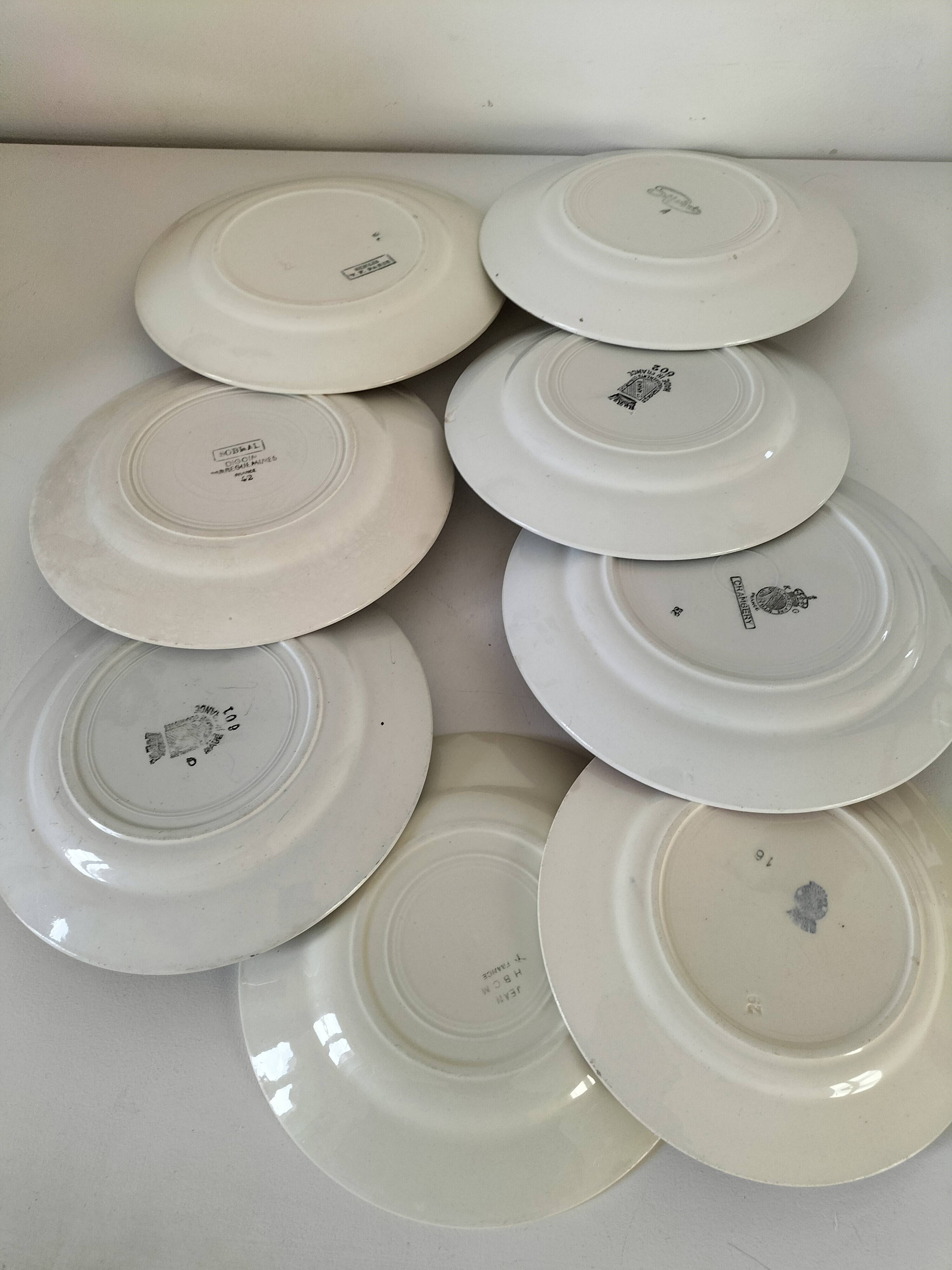 Set of 8 ironstone plates with coordinated designs.