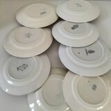 Set of 8 ironstone plates with coordinated designs.