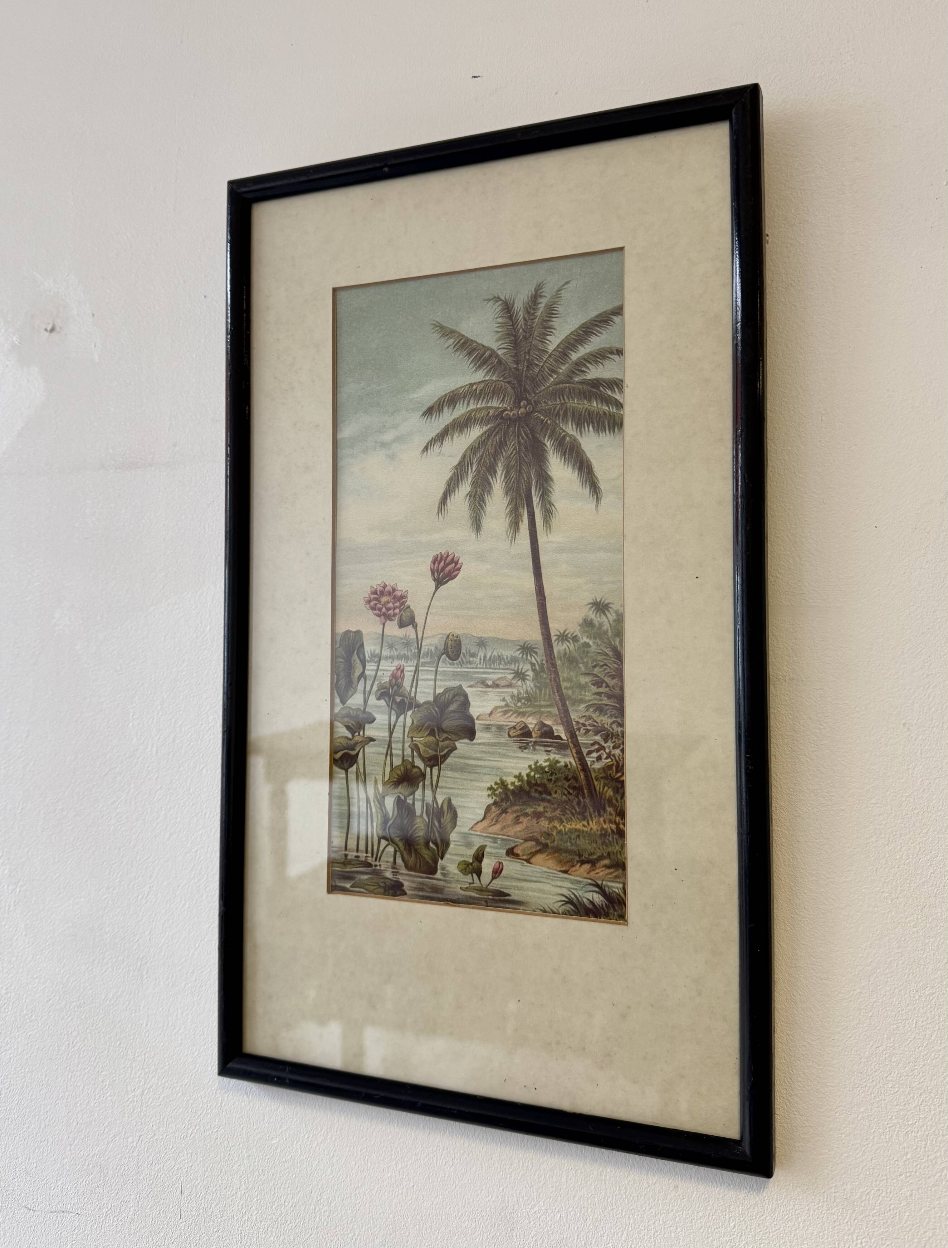 Vintage Print of Lotus Flower and Palm Tree Black Frame