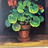 Geraniums