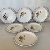 6 anciennes assiettes à dessert fleurs grenat salins France