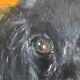 Vintage original dog portrait oil painting, signed animal art