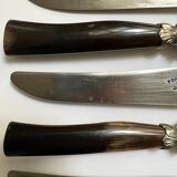 Set de 12 couteaux anciens Fontenille Pataud