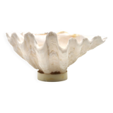 Natural shell catchall, 1970s.