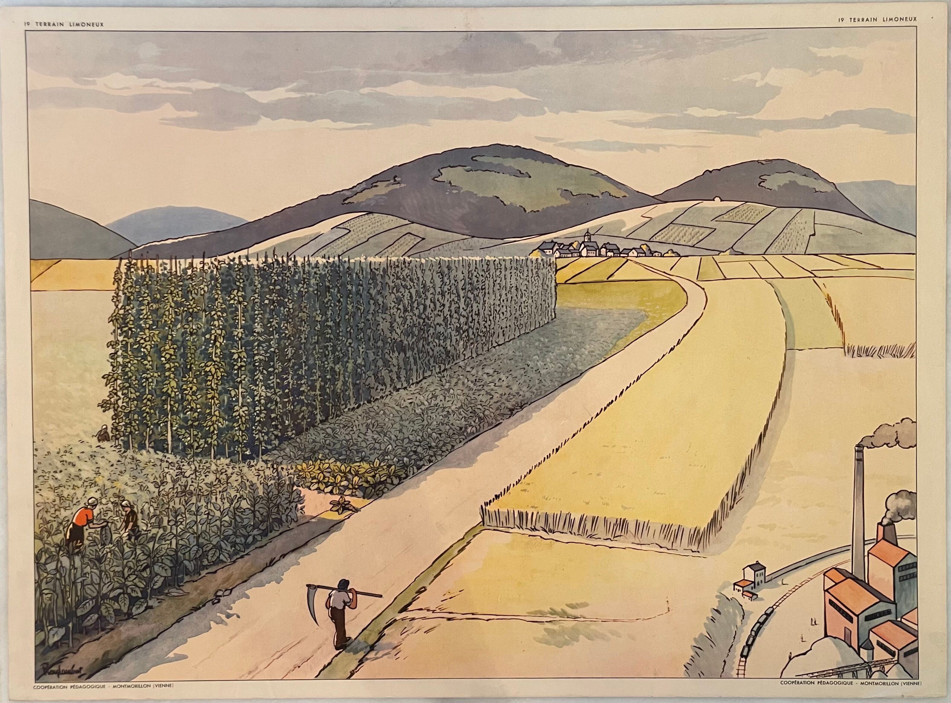 School posters Terrain Limoneux and La Plaine Montmorillon