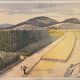 School posters Terrain Limoneux and La Plaine Montmorillon