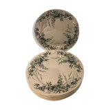 5 plates dessert linotte, Terre de Fer