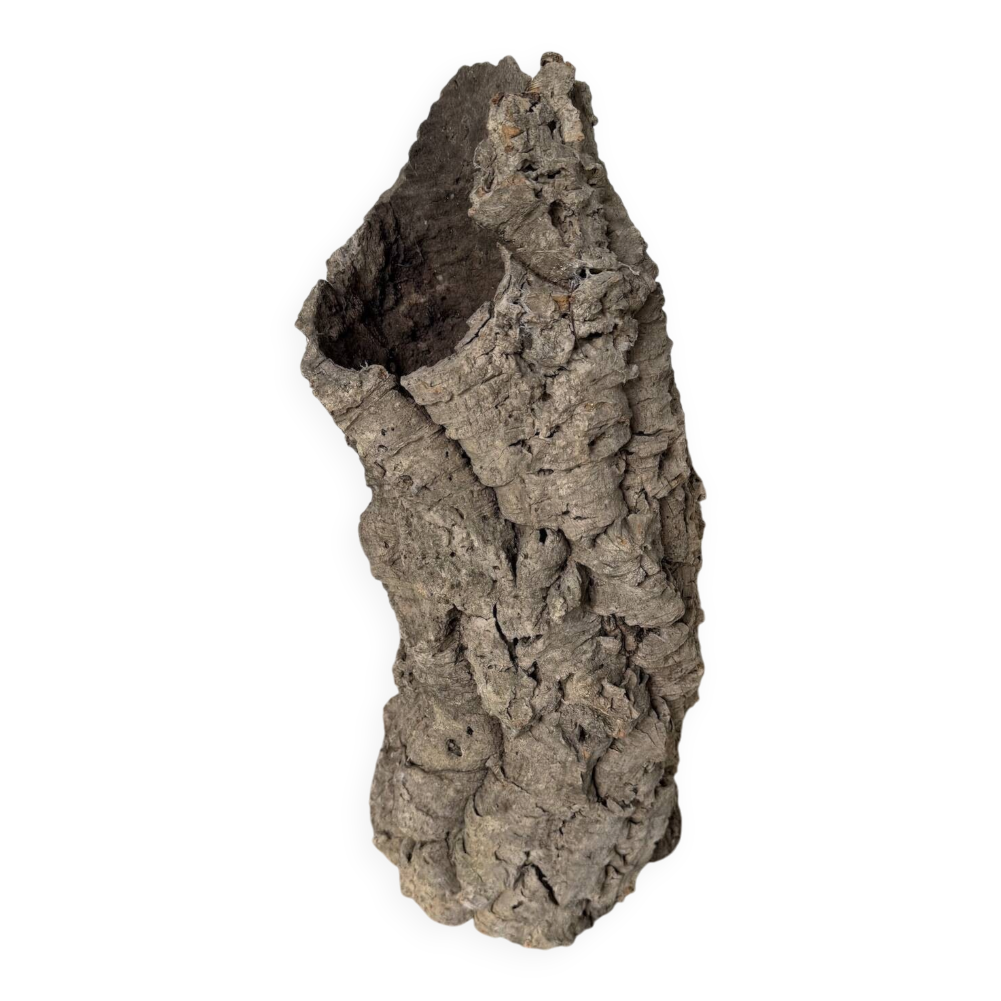 XL cork bark vase