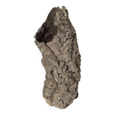 XL cork bark vase