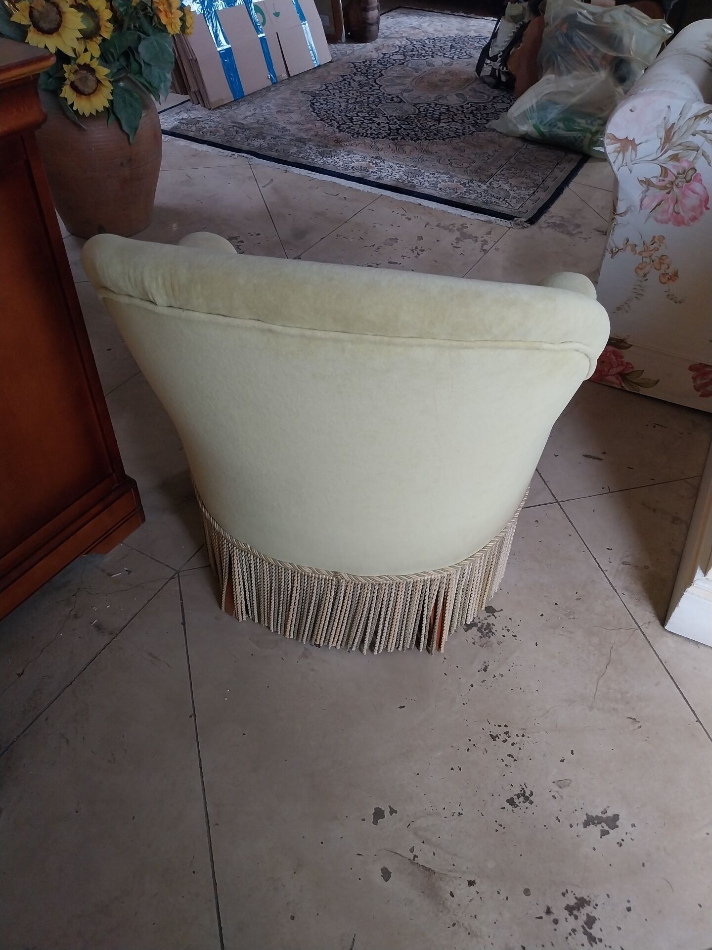 Salon frog armchair