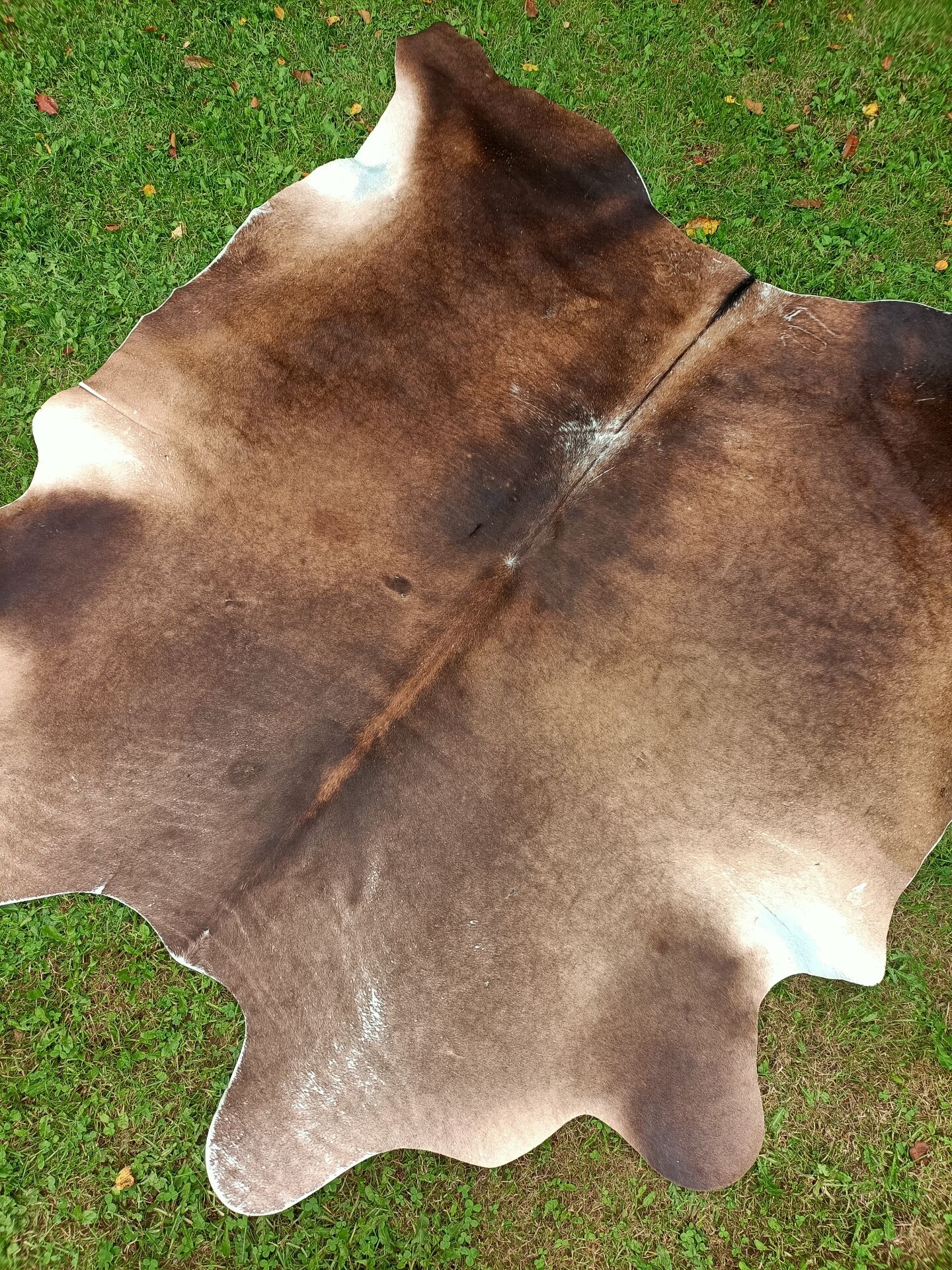 Cowhide Rug