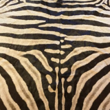 Real zebra skin