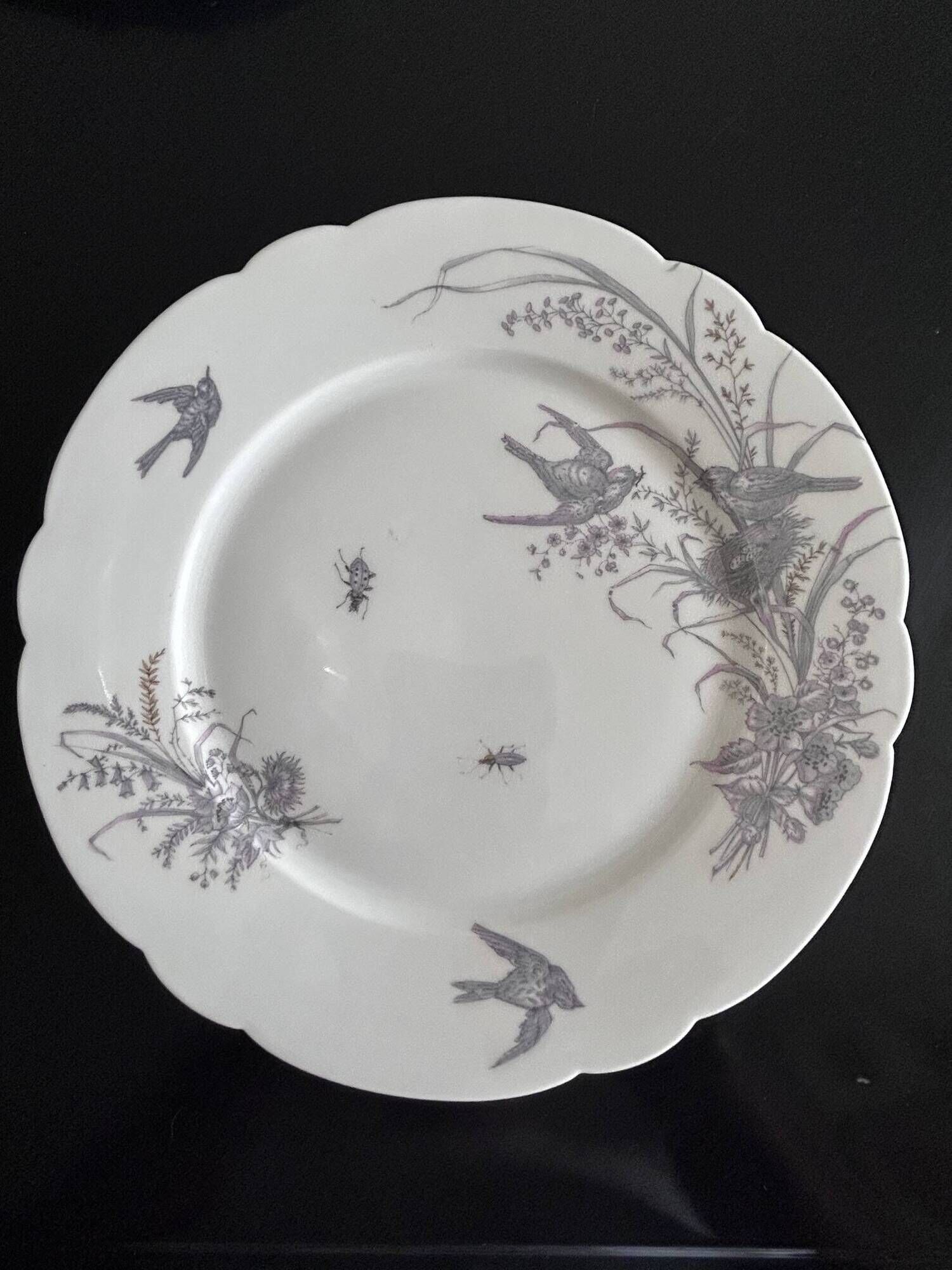 8 porcelain plates and 1 dish CH Pillivuyt & Cie