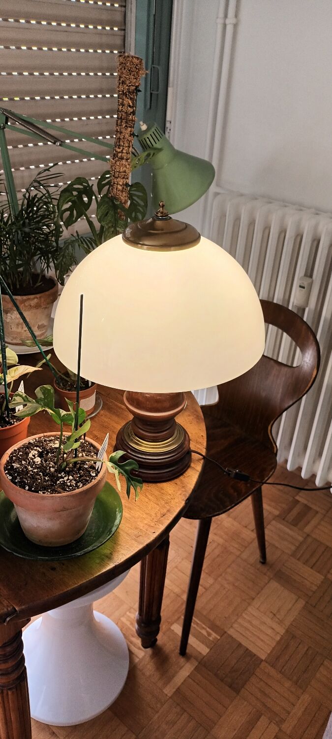 Vintage mushroom lamp