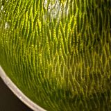 Metal pocket tray, green enameled interior