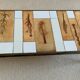 Table basse Roger Capron