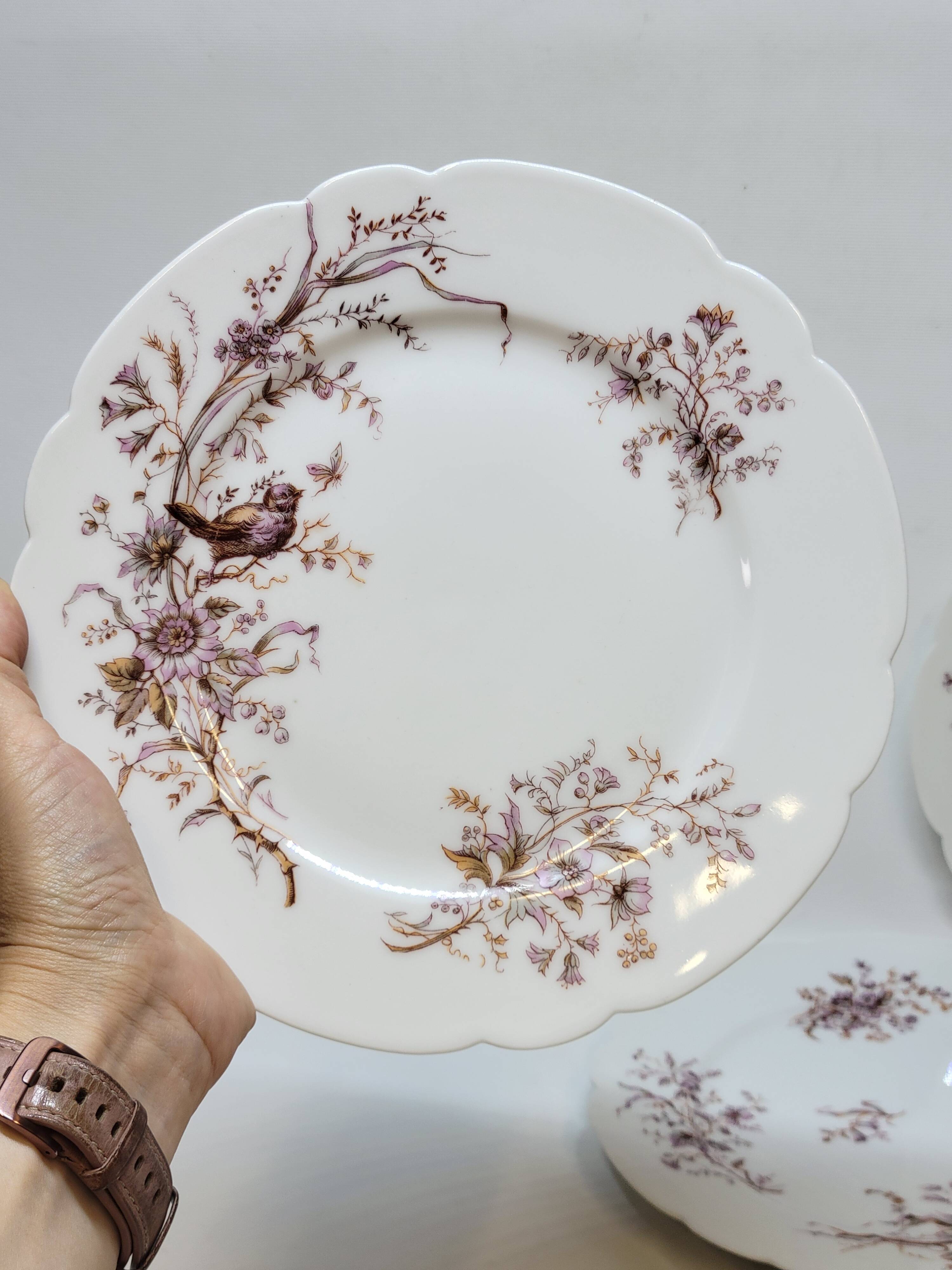 6 Superb Antique 19th Century White Porcelain Plates with Bird Decor