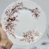 6 Superbes Assiettes Anciennes XIXème En Porcelaine Blanche Décor Oiseaux