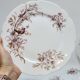 6 Superbes Assiettes Anciennes XIXème En Porcelaine Blanche Décor Oiseaux