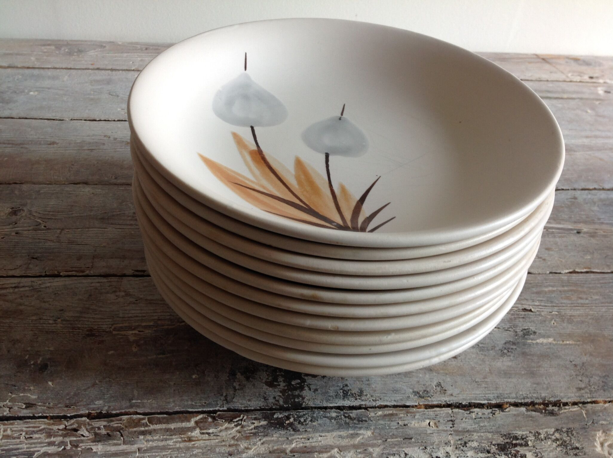 Set of 11 soup plates