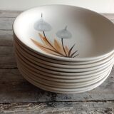 Series of 11 hollow plates