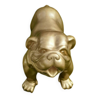 Gold bulldog dog