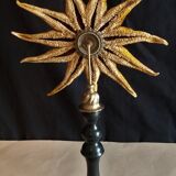 Starfish solaster dawsoni