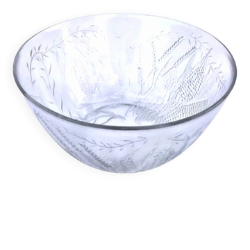 Ancien saladier Verre transparent  France décor relief blé, maïs Int