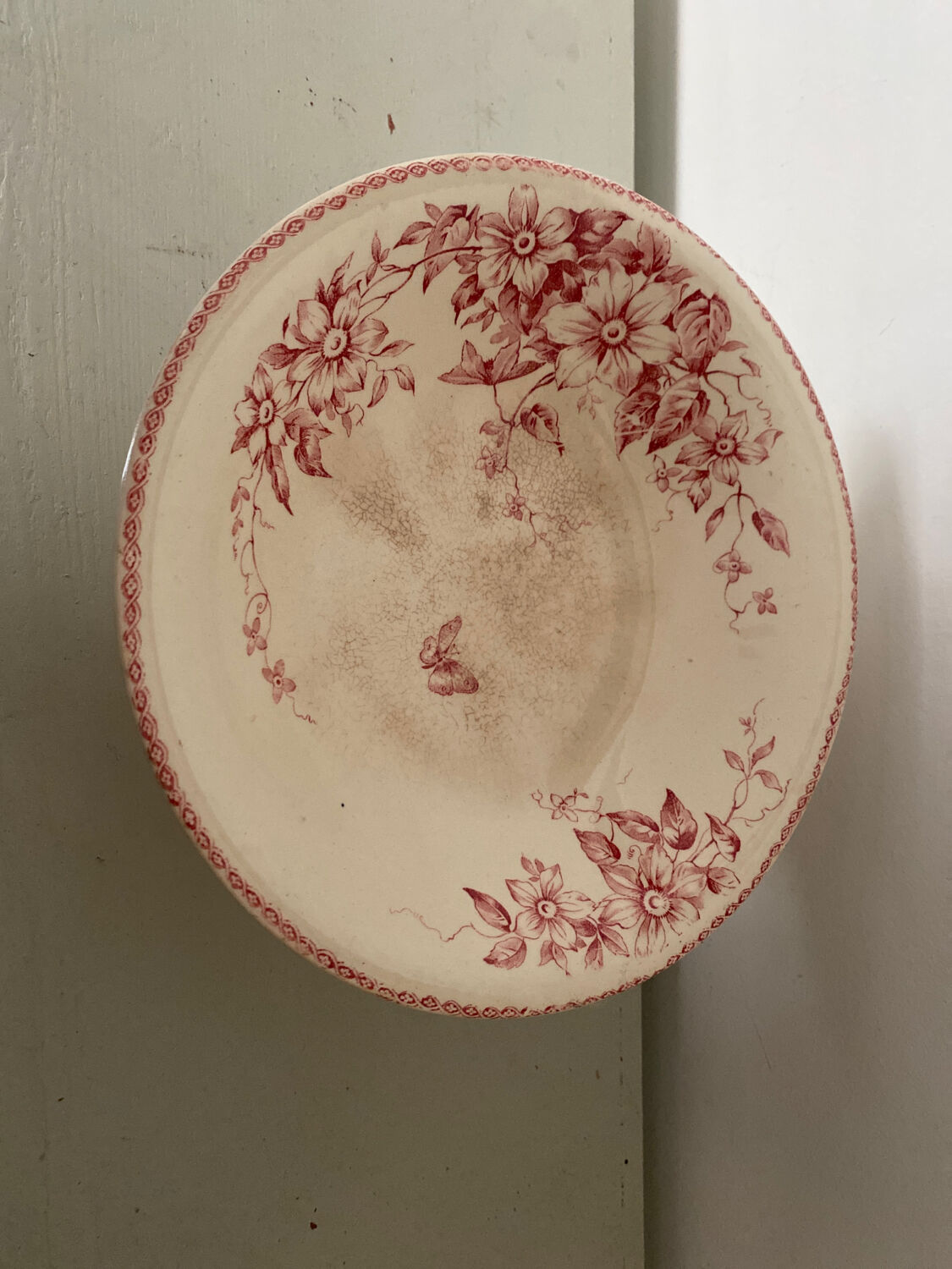 Terre de fer fruit cup