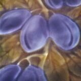 Plate slip plums Sarreguemines early twentieth century