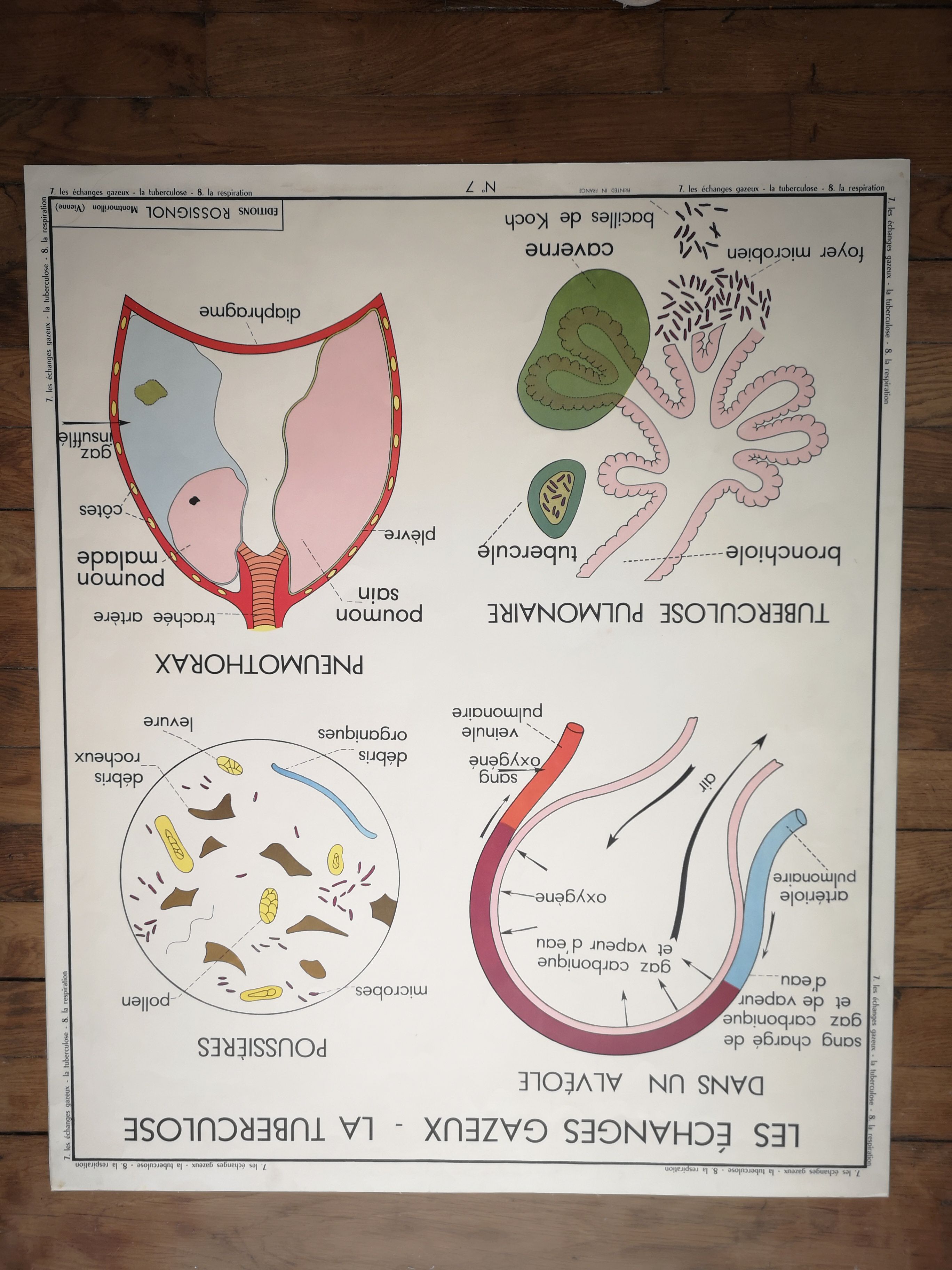 Former School Poster Rossignol of the 50s Medicine Anatomy Breathing